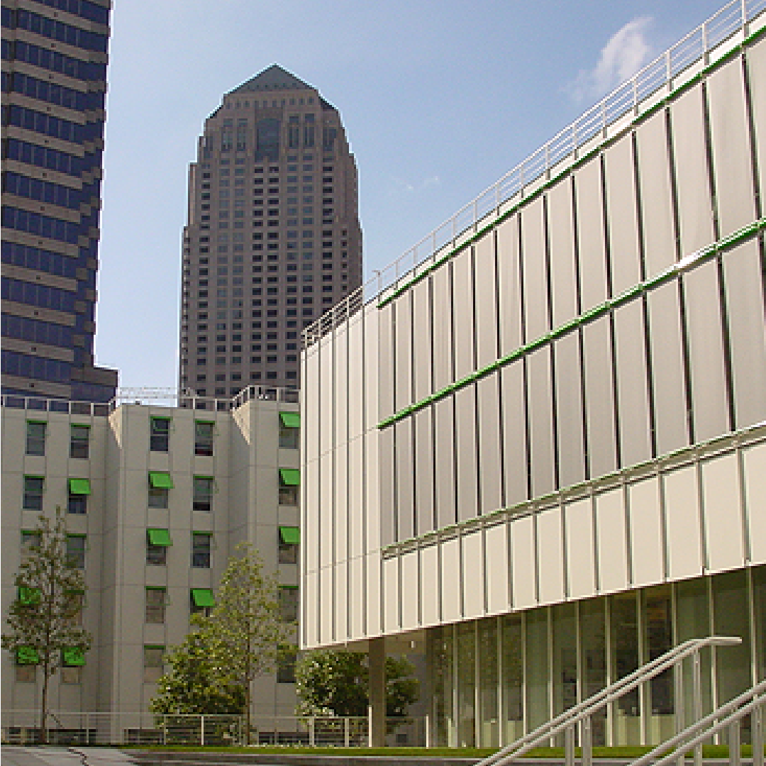 BPL - Image 4
